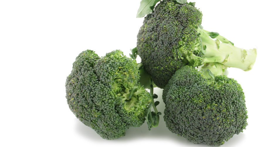 Lær broccolien at kende
