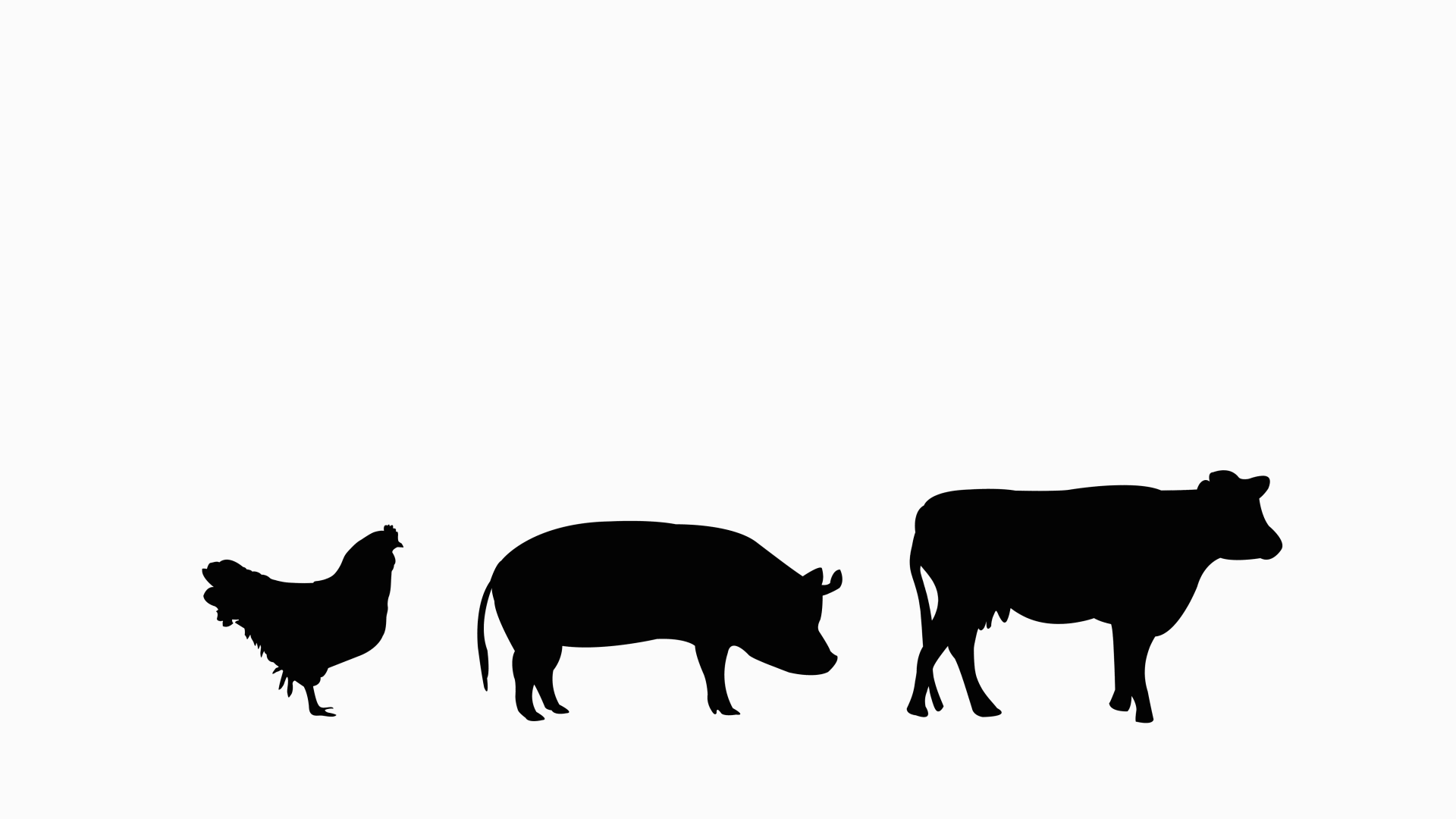Smag af dyrevelfærd - Det korte svar er nej